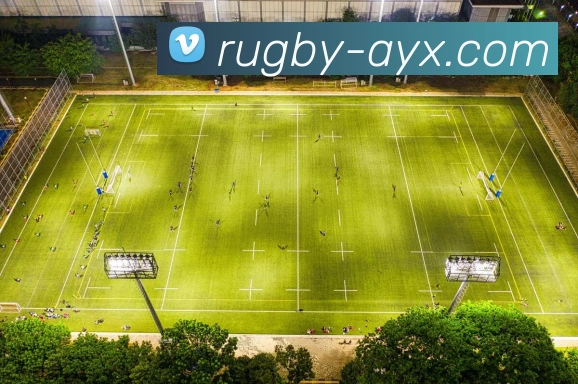 爱游戏品牌故事